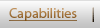 Capabilities